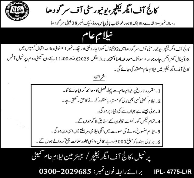 University of Sargodha Tender Notice